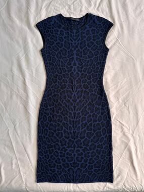 RVN Leopard Jacquard Midi Dress XS/S